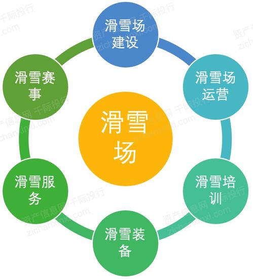 2021年冰雪產業發展研究報告